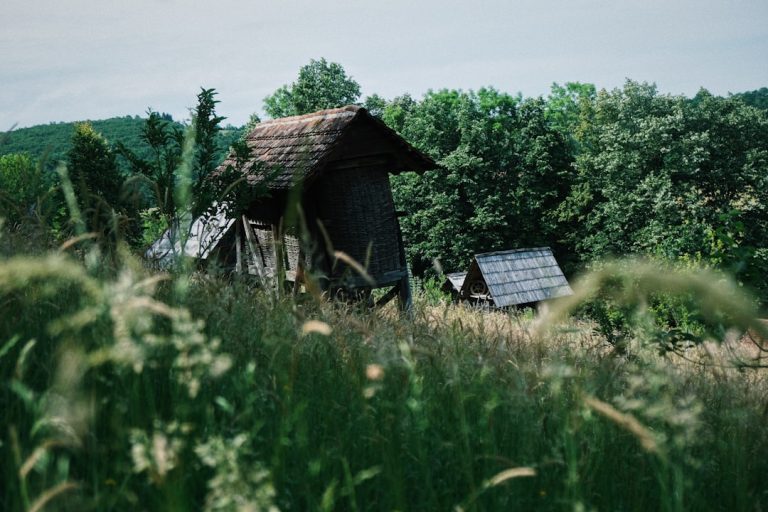 Photo Słowiańskie rytuały
