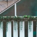 Photo vertical urban farms